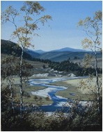 Towards Glen Quoich, Cairngorms